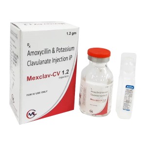 MEXCLAVE CV 1.2G